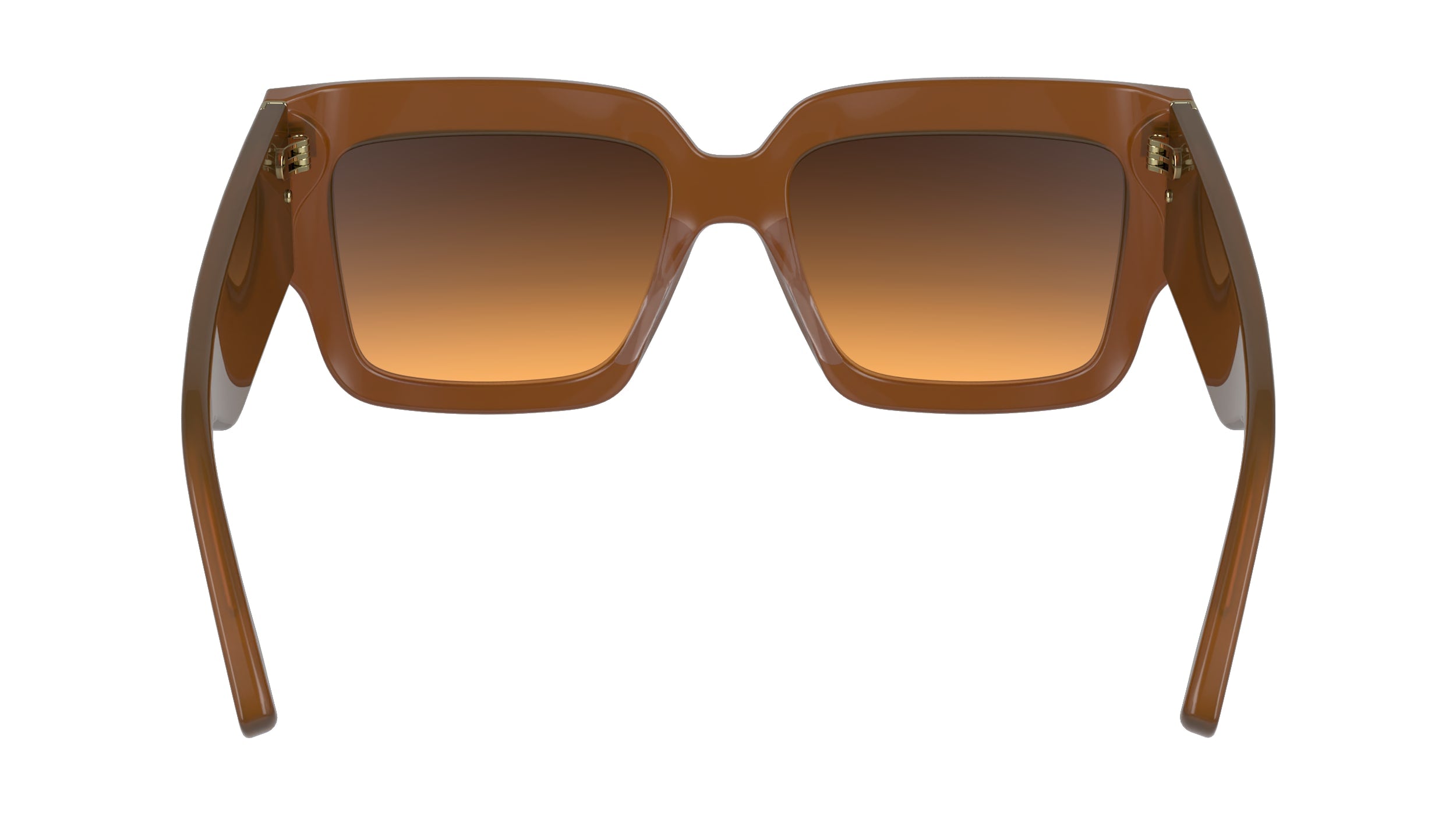 VICTORIA BECKHAM VB667S 240 53