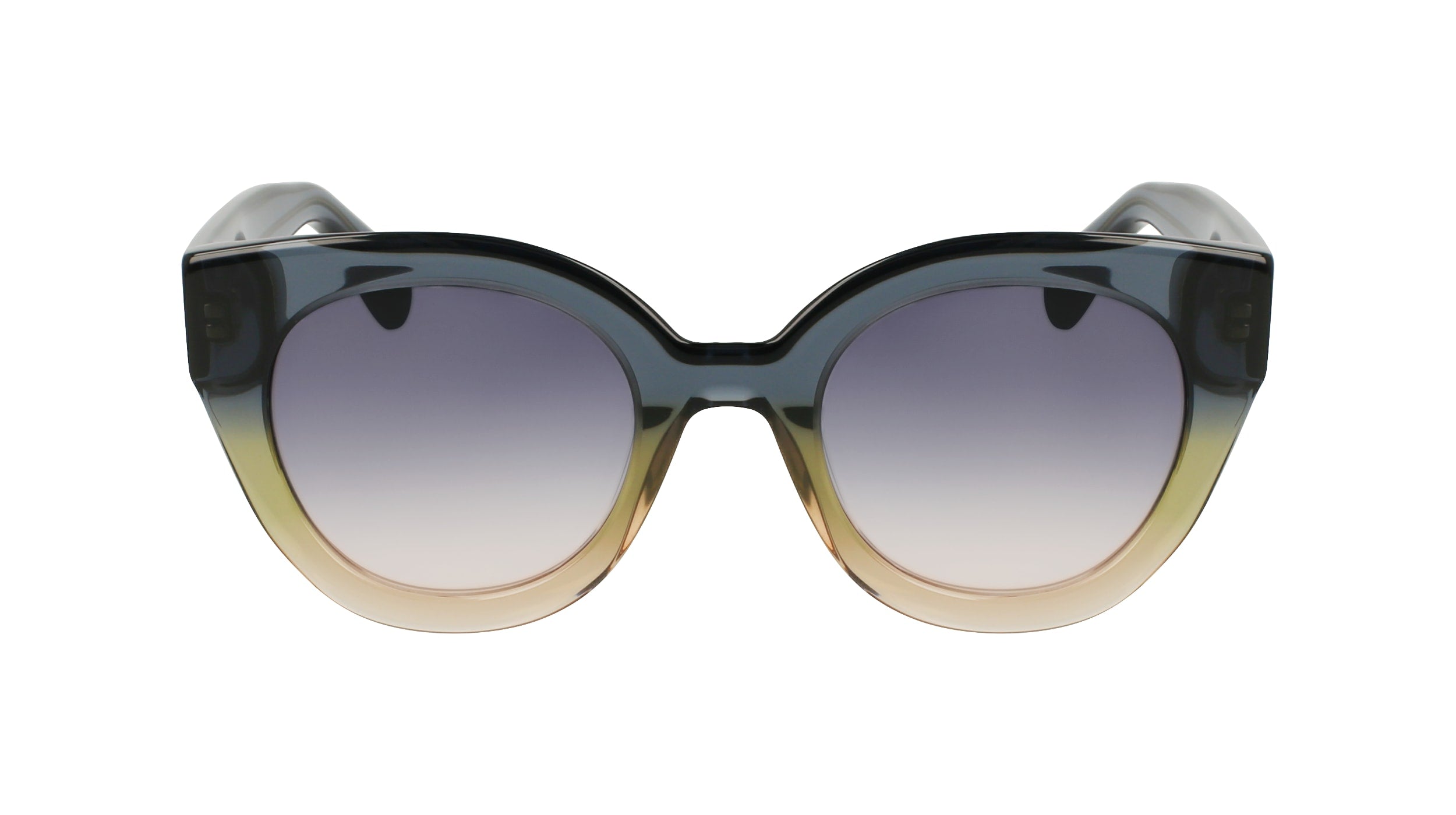 LONGCHAMP LO750S 434 49