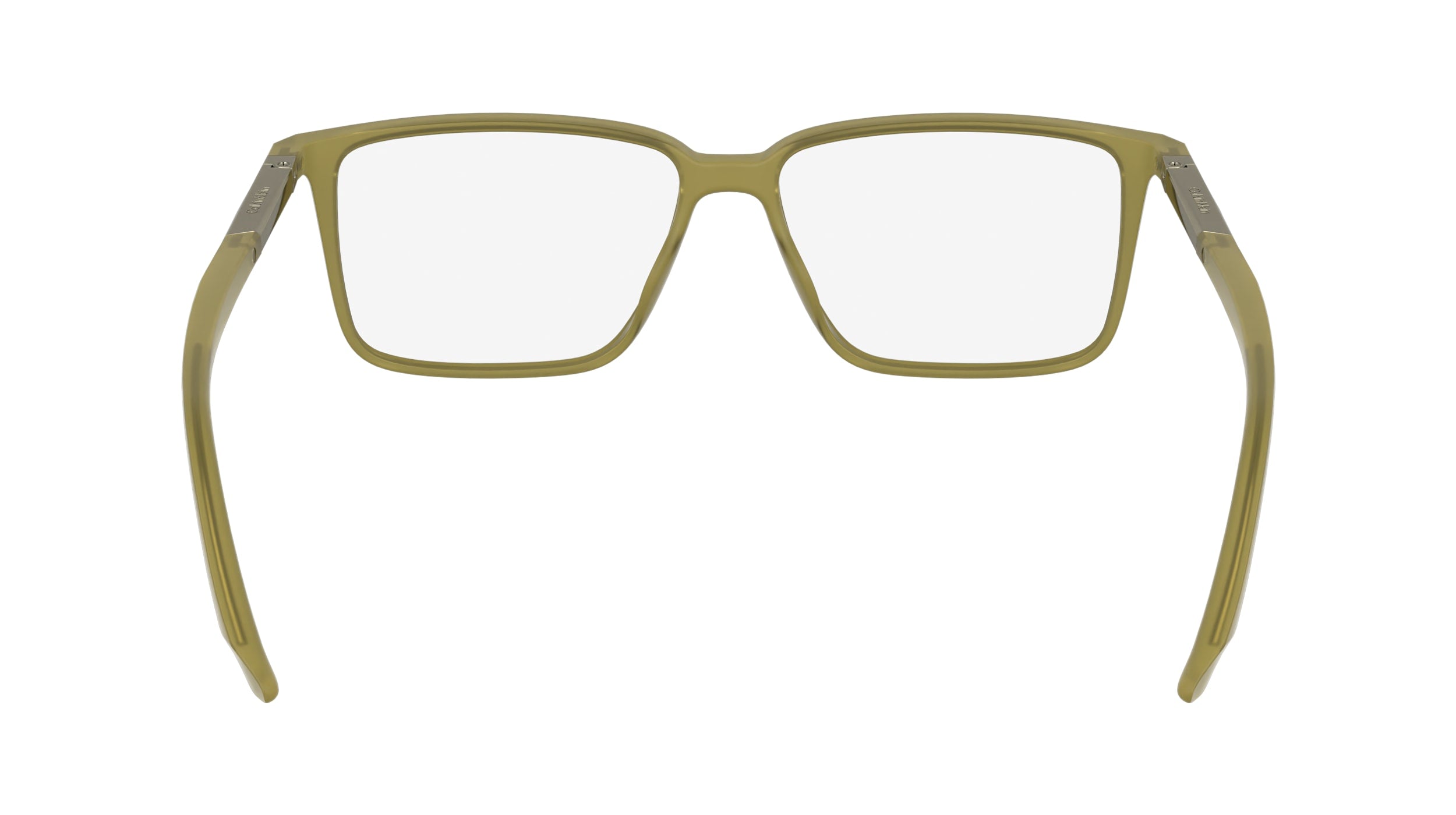 CALVIN KLEIN CK24547 261 55