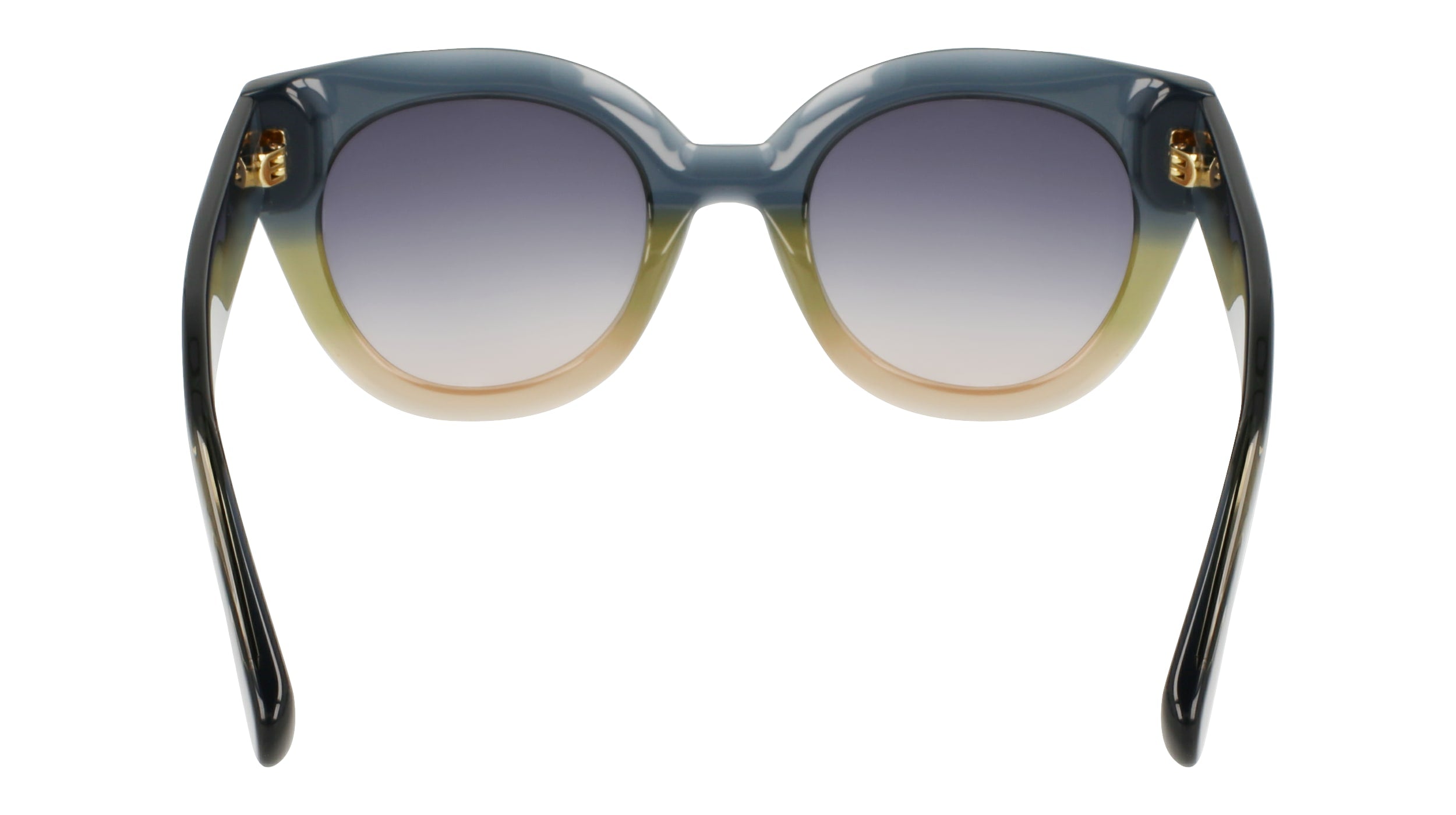 LONGCHAMP LO750S 434 49