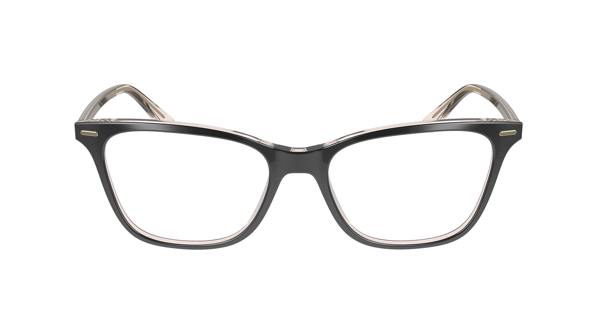 CALVIN KLEIN CK23544 004 53