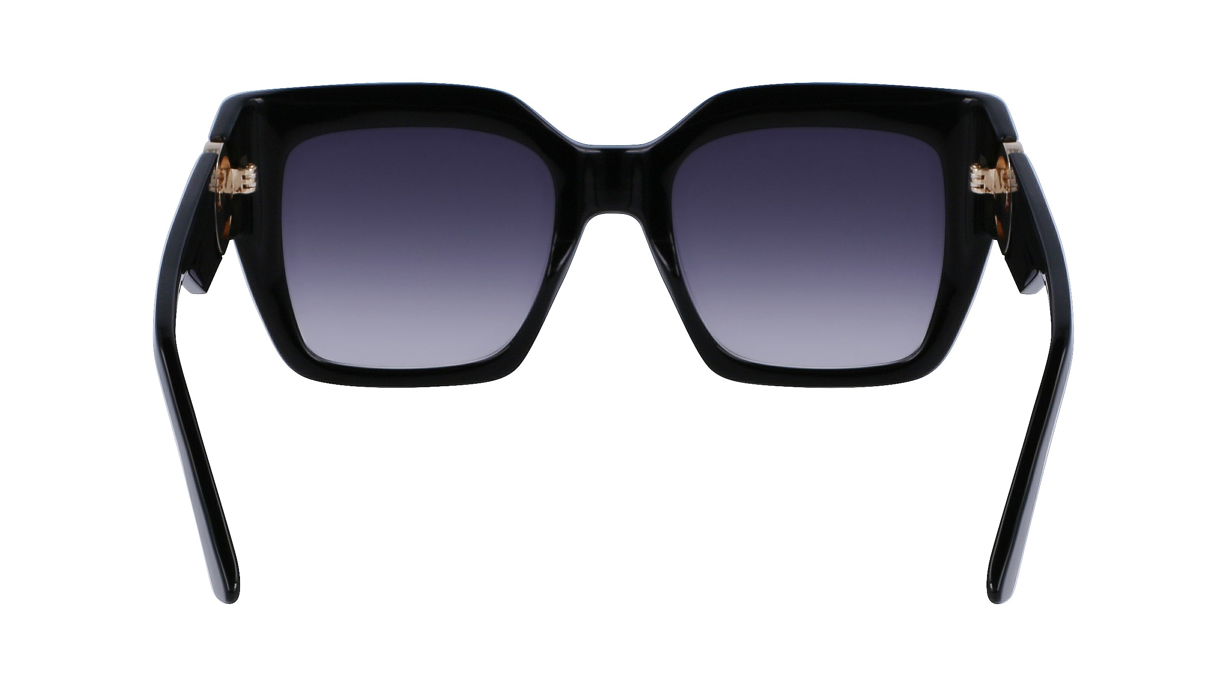 LONGCHAMP LO734S 001 53