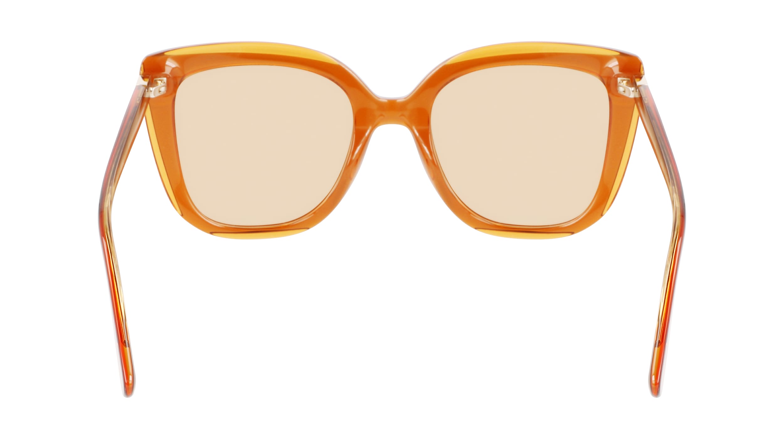 LONGCHAMP LO689S 744 53