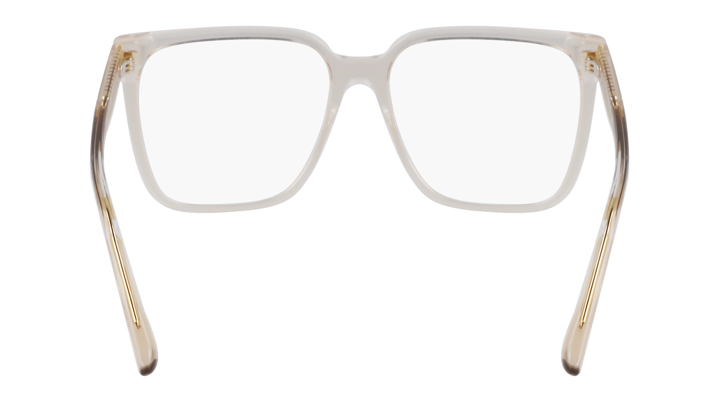 VICTORIA BECKHAM VB2669 250 55