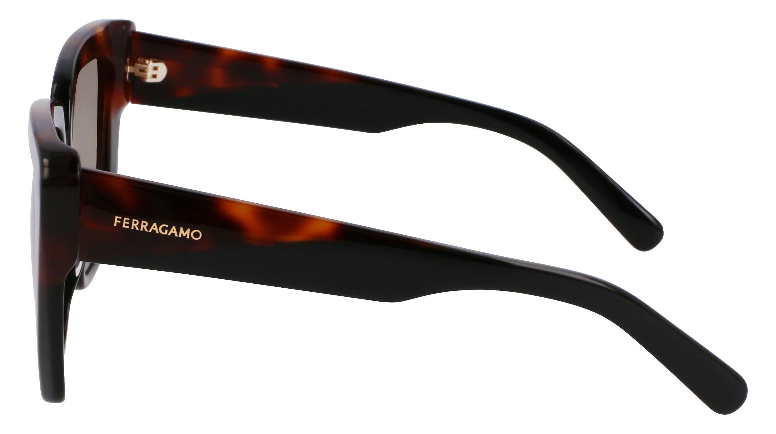 FERRAGAMO SF1060SN 006 55