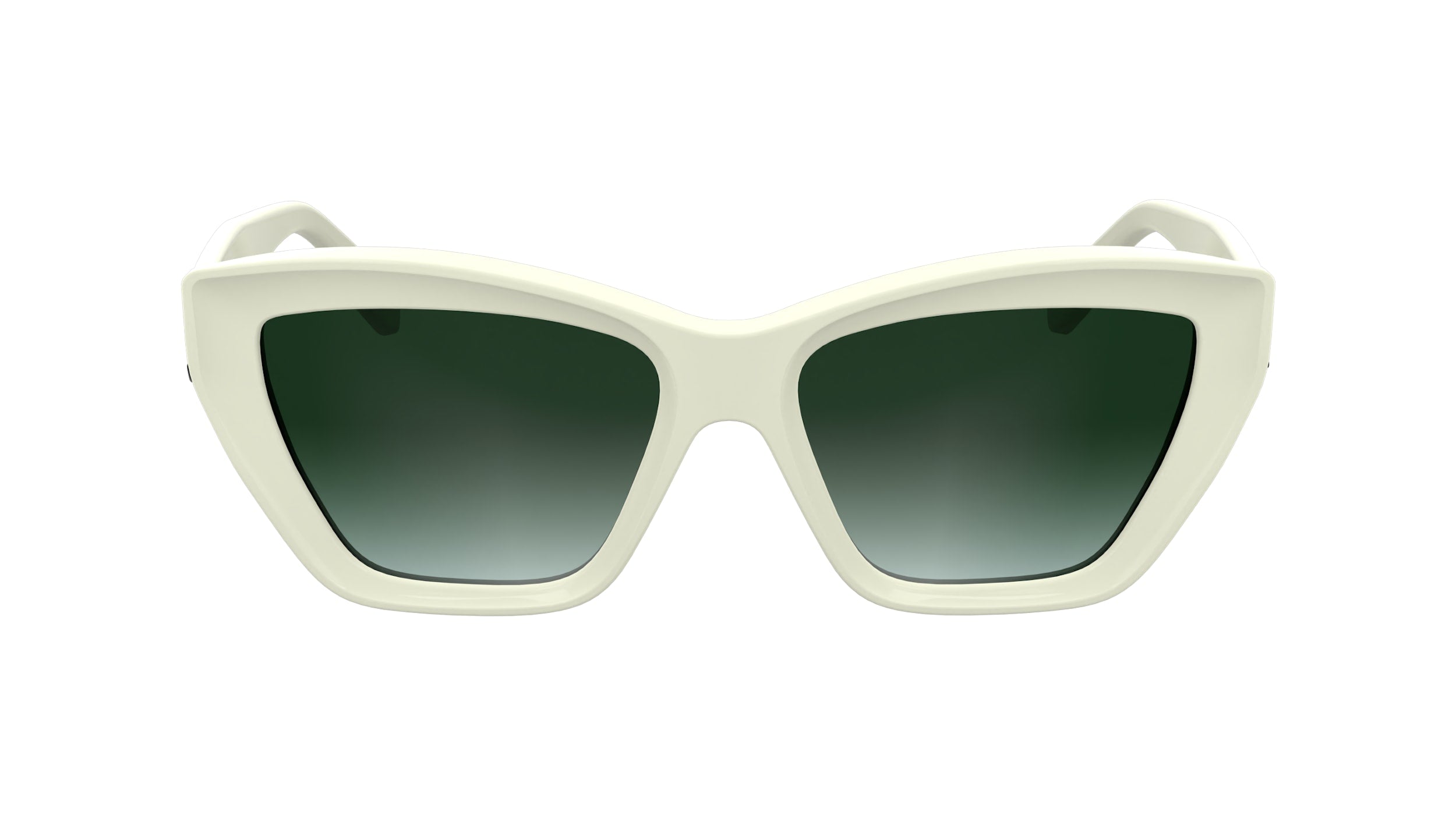 KARL LAGERFELD KL6179S 105 55