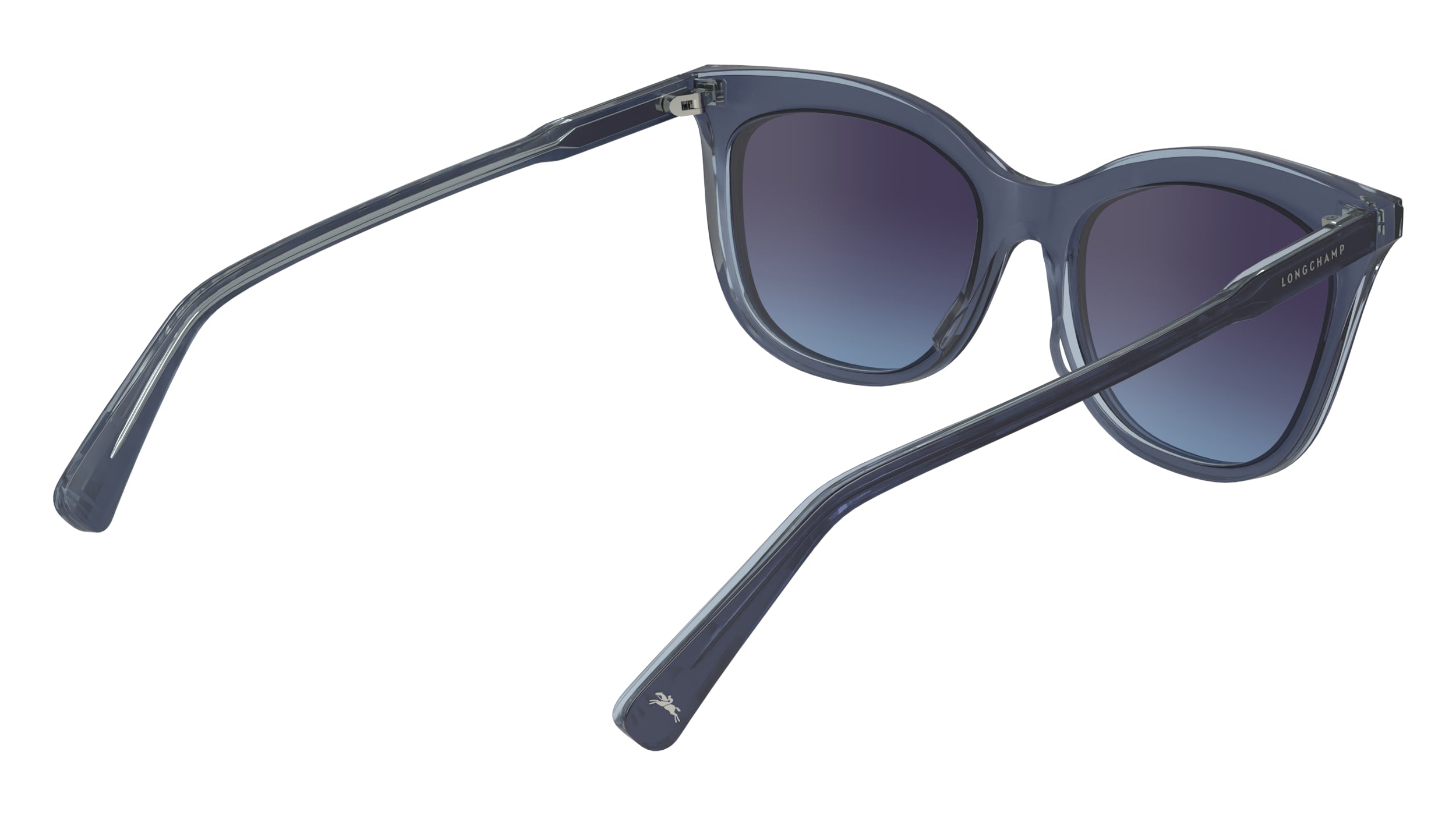 LONGCHAMP LO738S 405 53