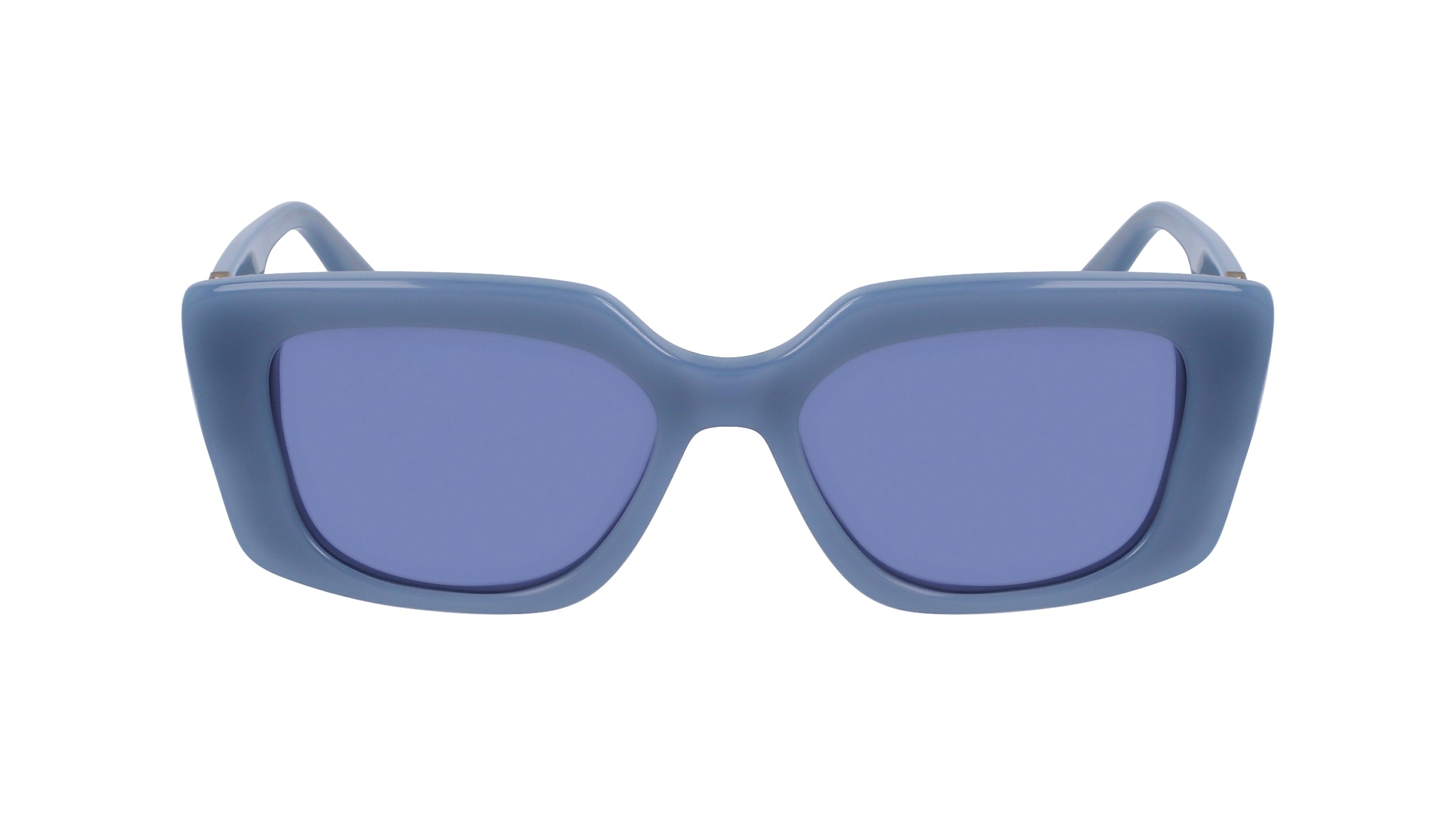 KARL LAGERFELD KL6125S 450 52