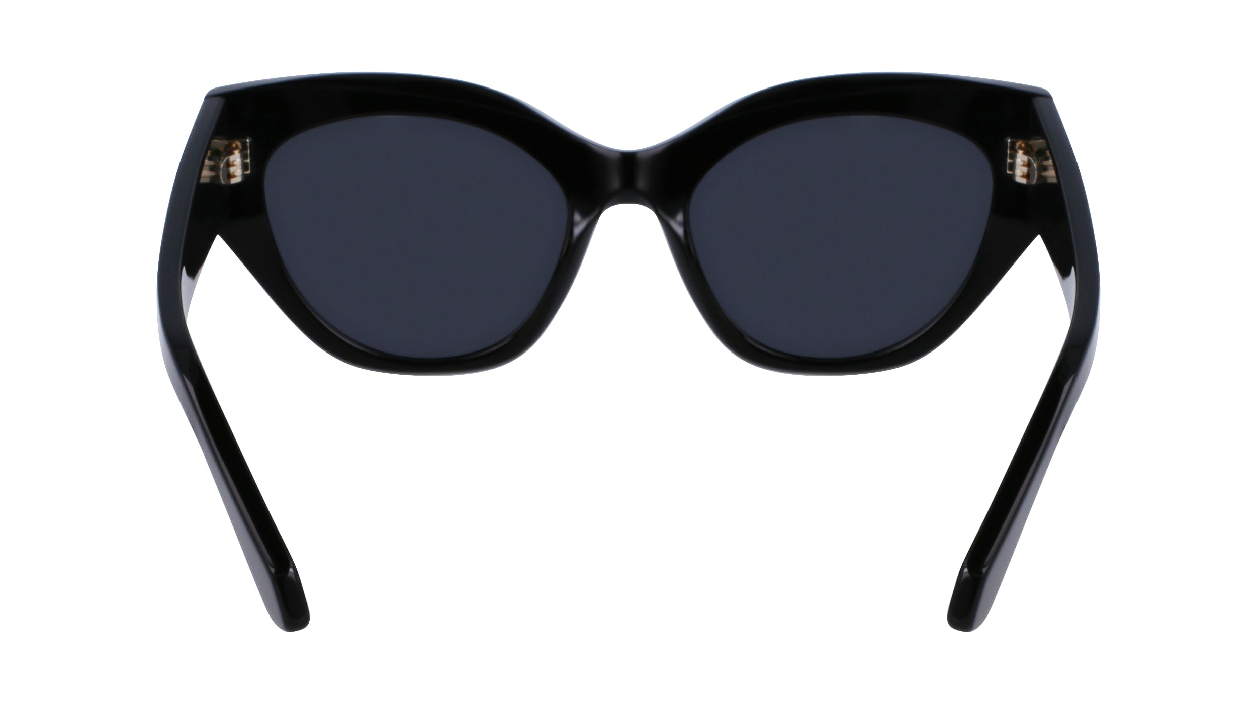 FERRAGAMO SF1107S 001 55