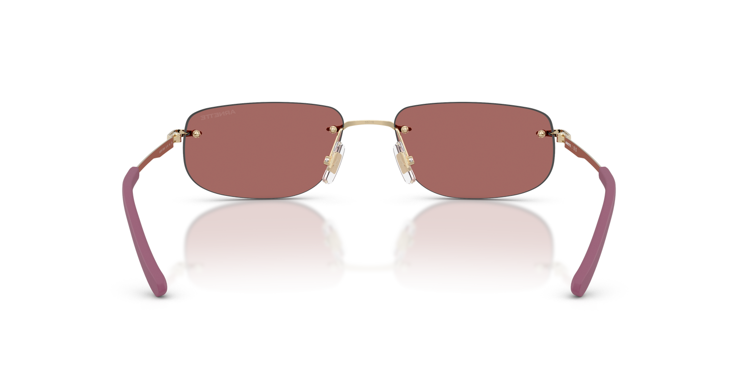 ARNETTE AN3096 748/69 55