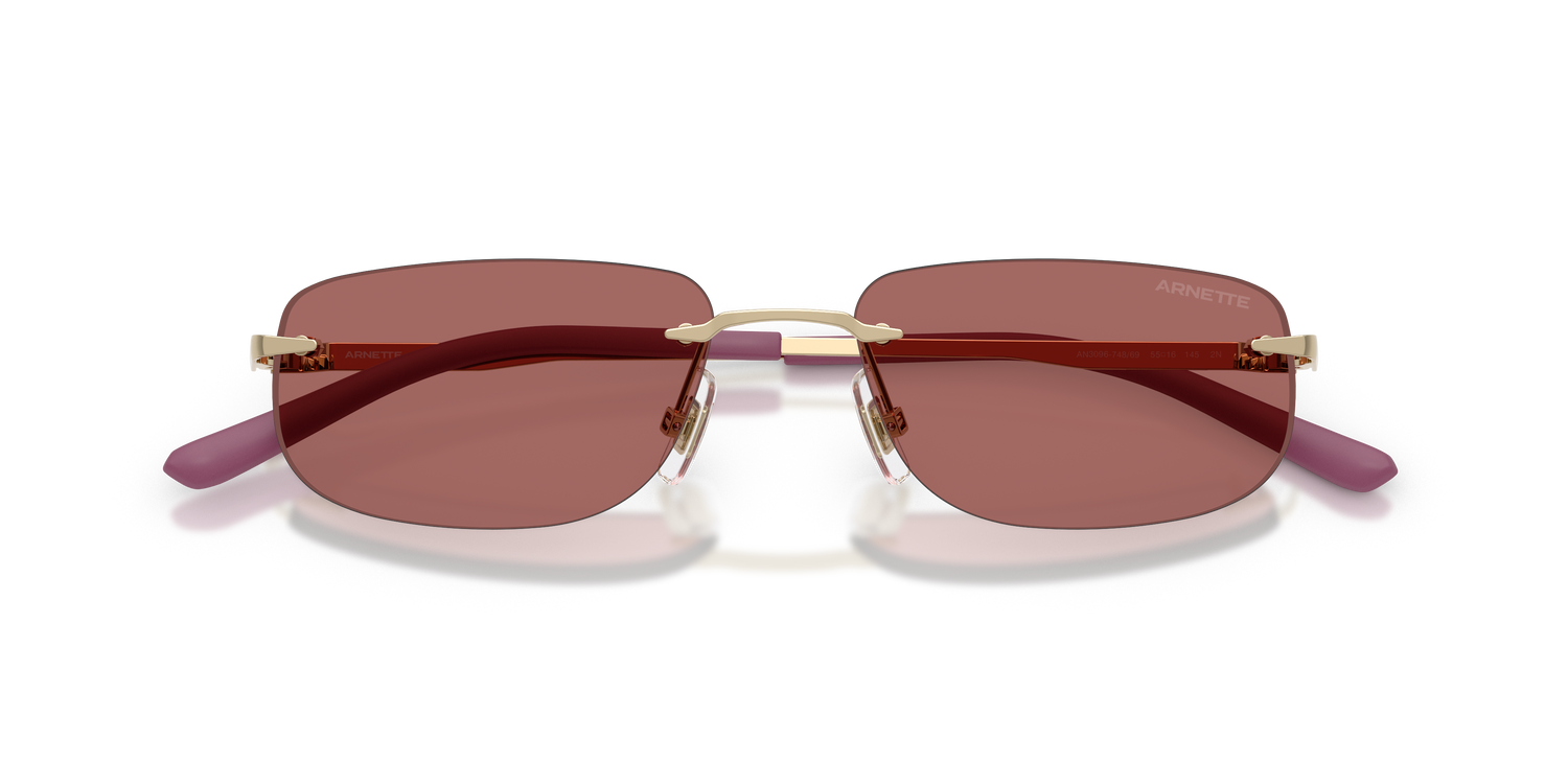 ARNETTE AN3096 748/69 55