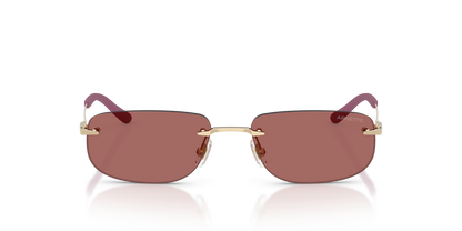 ARNETTE AN3096 748/69 55