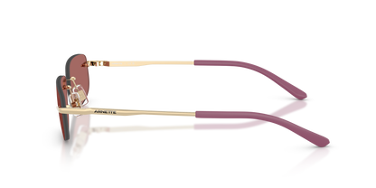 ARNETTE AN3096 748/69 55