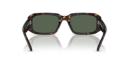 ARNETTE AN4318 THEKIDD 122271 53 - 6