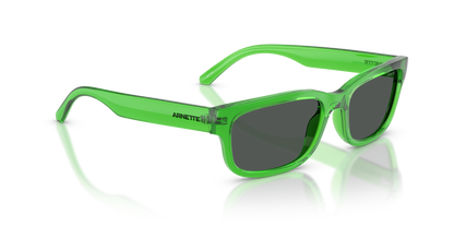 ARNETTE AN4363 DEFYER 301487 55