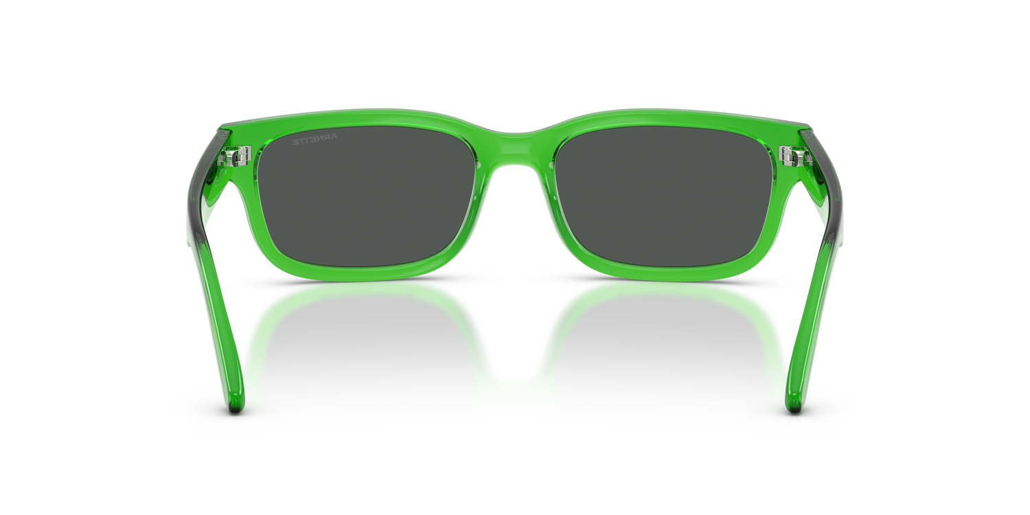 ARNETTE AN4363 DEFYER 301487 55