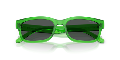 ARNETTE AN4363 DEFYER 301487 55