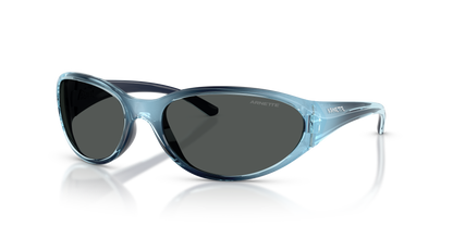 ARNETTE AN4368 RAVEN 303287 64