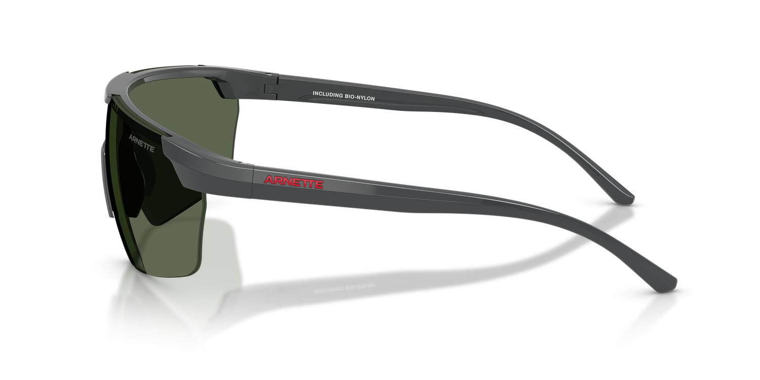 ARNETTE AN4369 284171 42