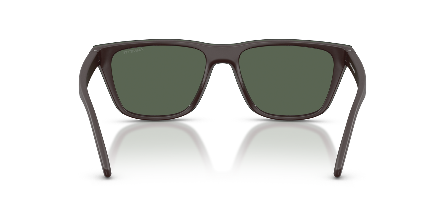 ARNETTE AN4376 30291W 55