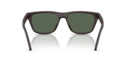 ARNETTE AN4376 30291W 55