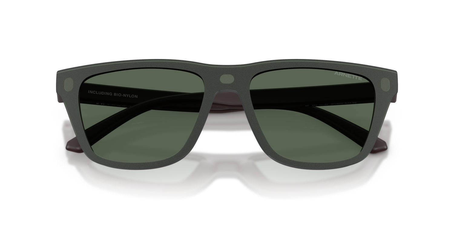 ARNETTE AN4376 30291W 55