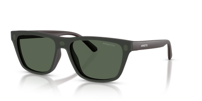 ARNETTE AN4376 30291W 55