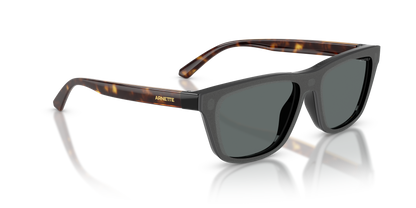 ARNETTE AN4376 30451W 55