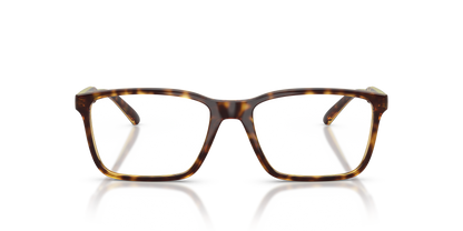 ARNETTE AN7208 NAKKI 2770 52