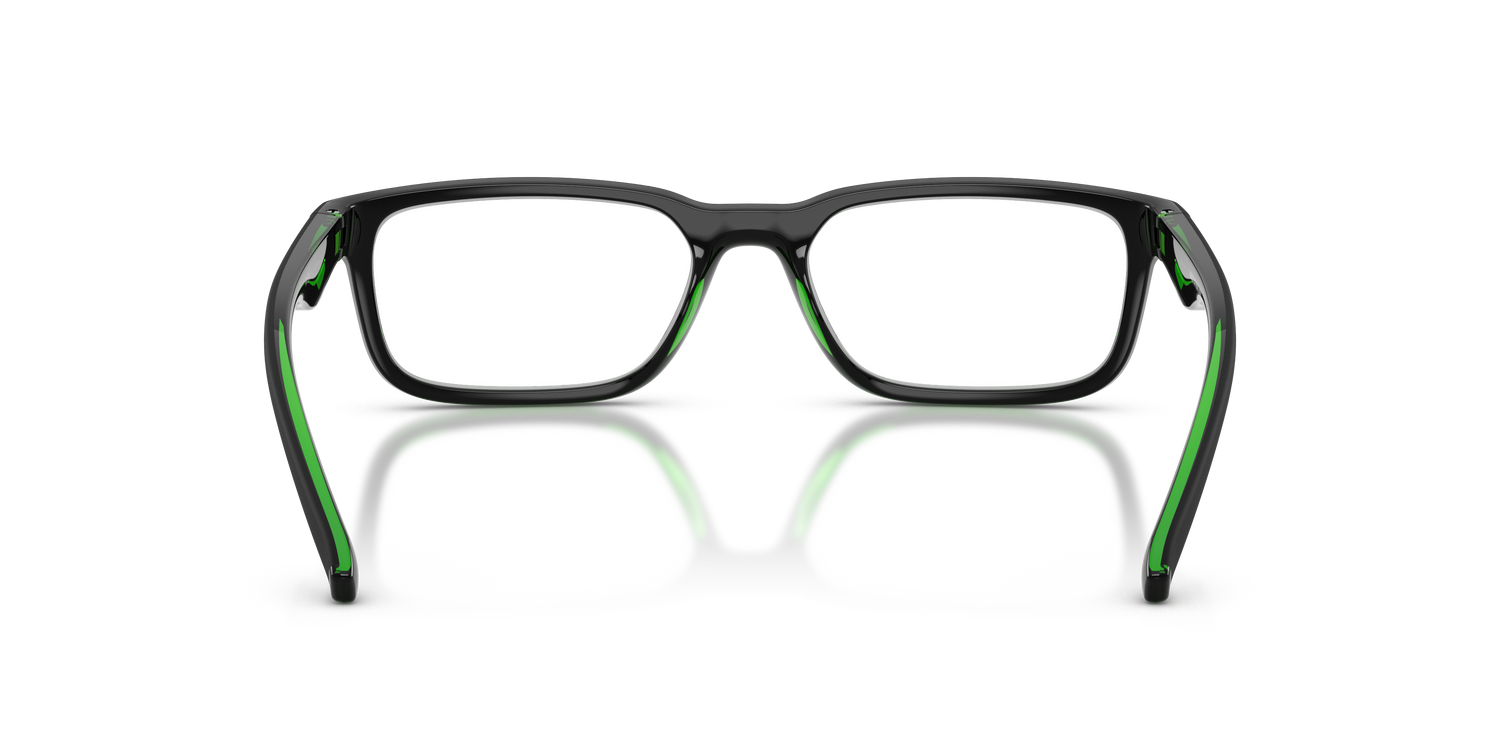 ARNETTE AN7283 RAYSIN 3004 55