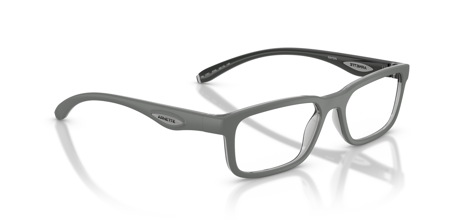 ARNETTE AN7283 RAYSIN 3009 53