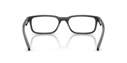 ARNETTE AN7283 RAYSIN 3009 53