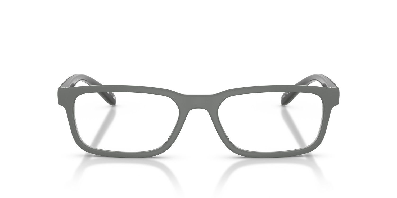 ARNETTE AN7283 RAYSIN 3009 55