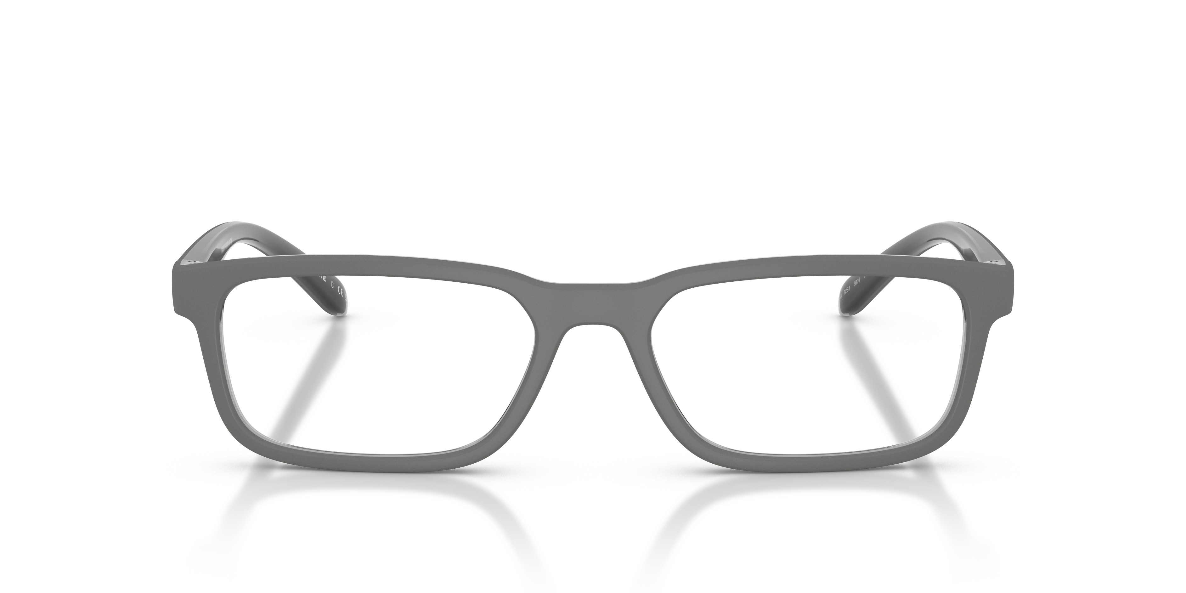 ARNETTE AN7283 RAYSIN 3009 55