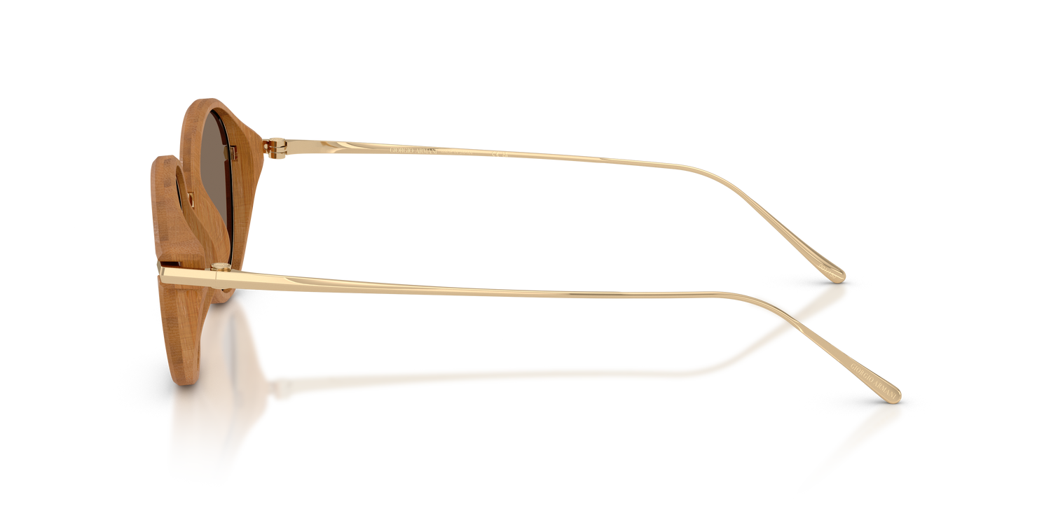 GIORGIO ARMANI AR6174T 341873 48