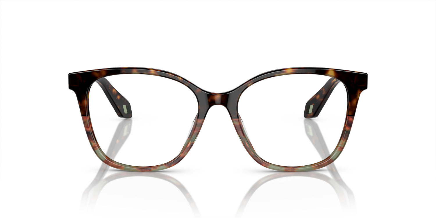 GIORGIO ARMANI AR7246U 5879 51