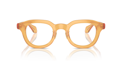 GIORGIO ARMANI AR7253 6063 47