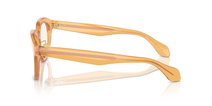 GIORGIO ARMANI AR7253 6063 47