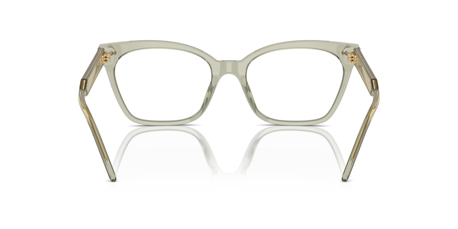 GIORGIO ARMANI AR7257U 6083 54