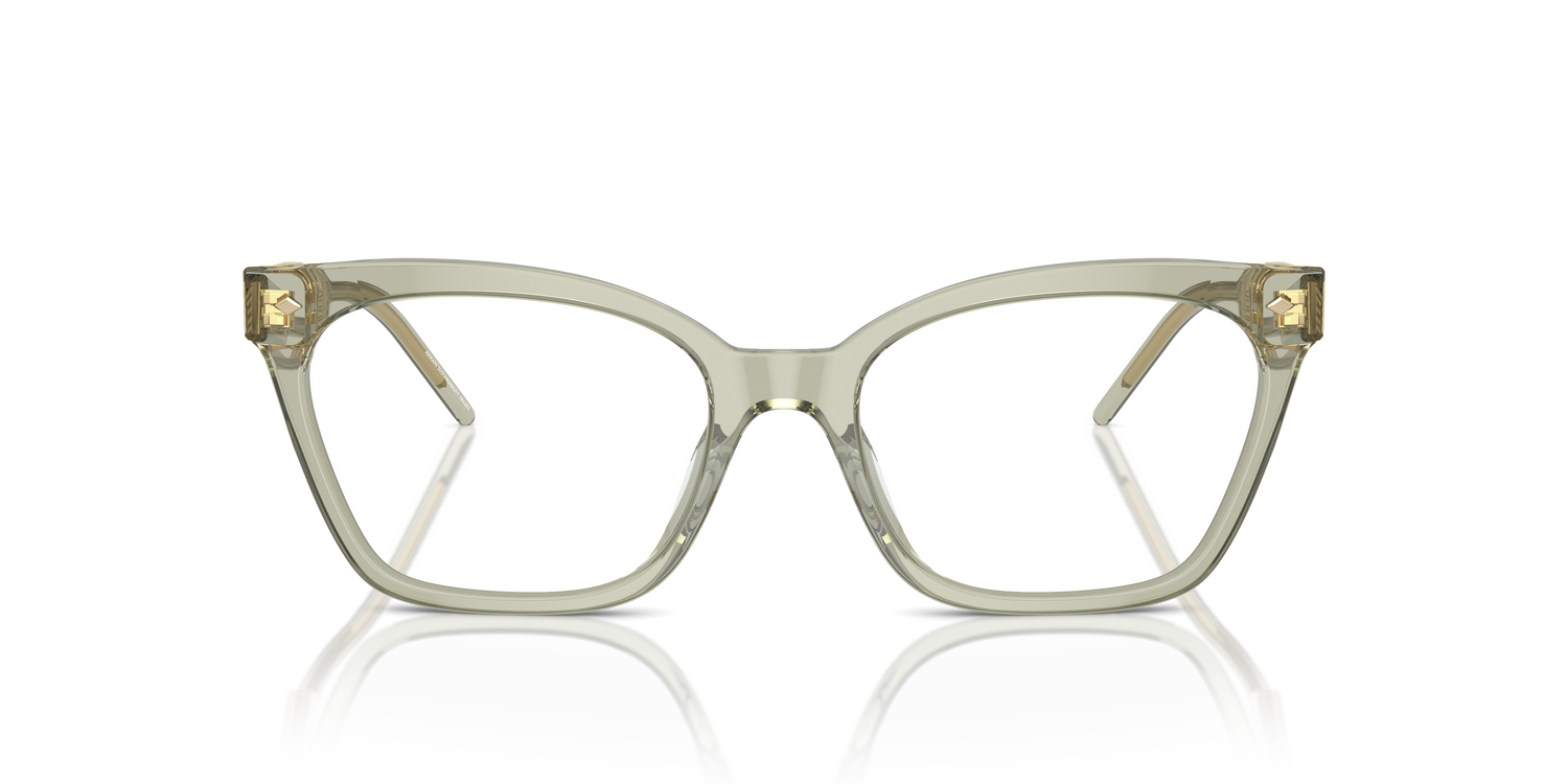 GIORGIO ARMANI AR7257U 6083 54