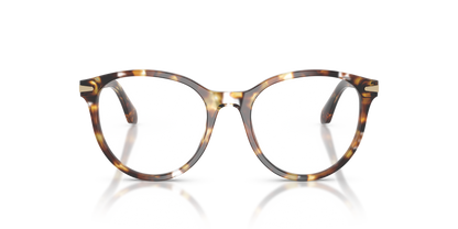 GIORGIO ARMANI AR7279 6232 52