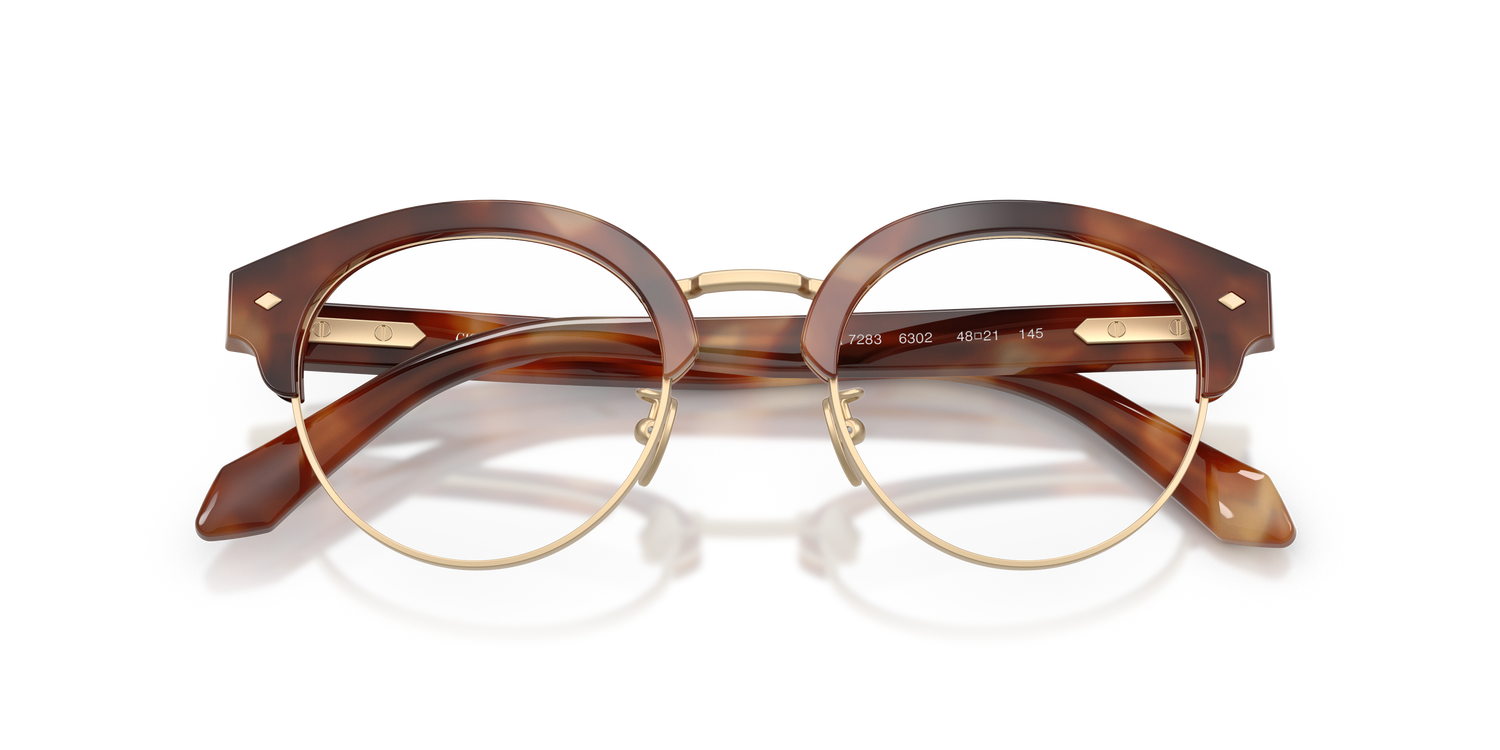 GIORGIO ARMANI AR7283 6302 48