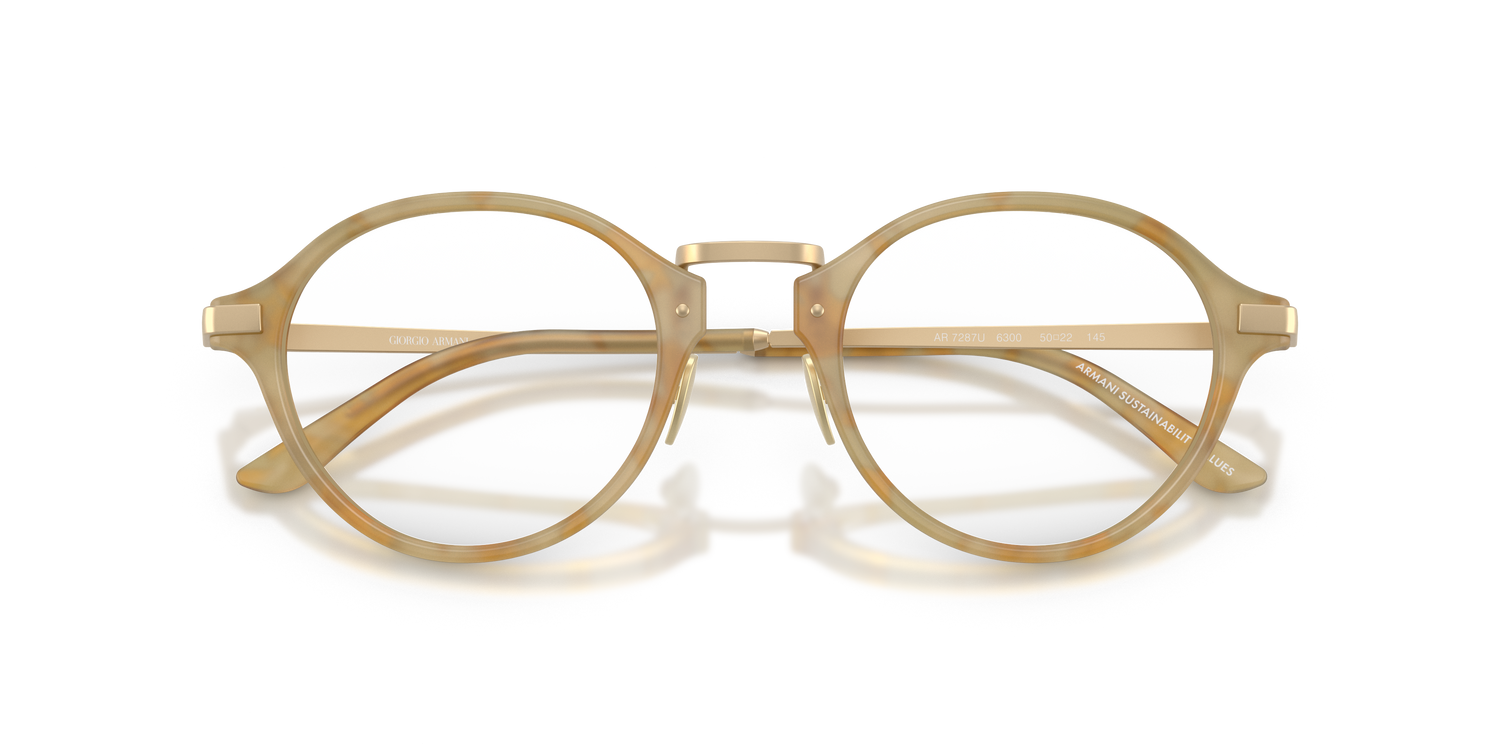 GIORGIO ARMANI AR7287 6300 48