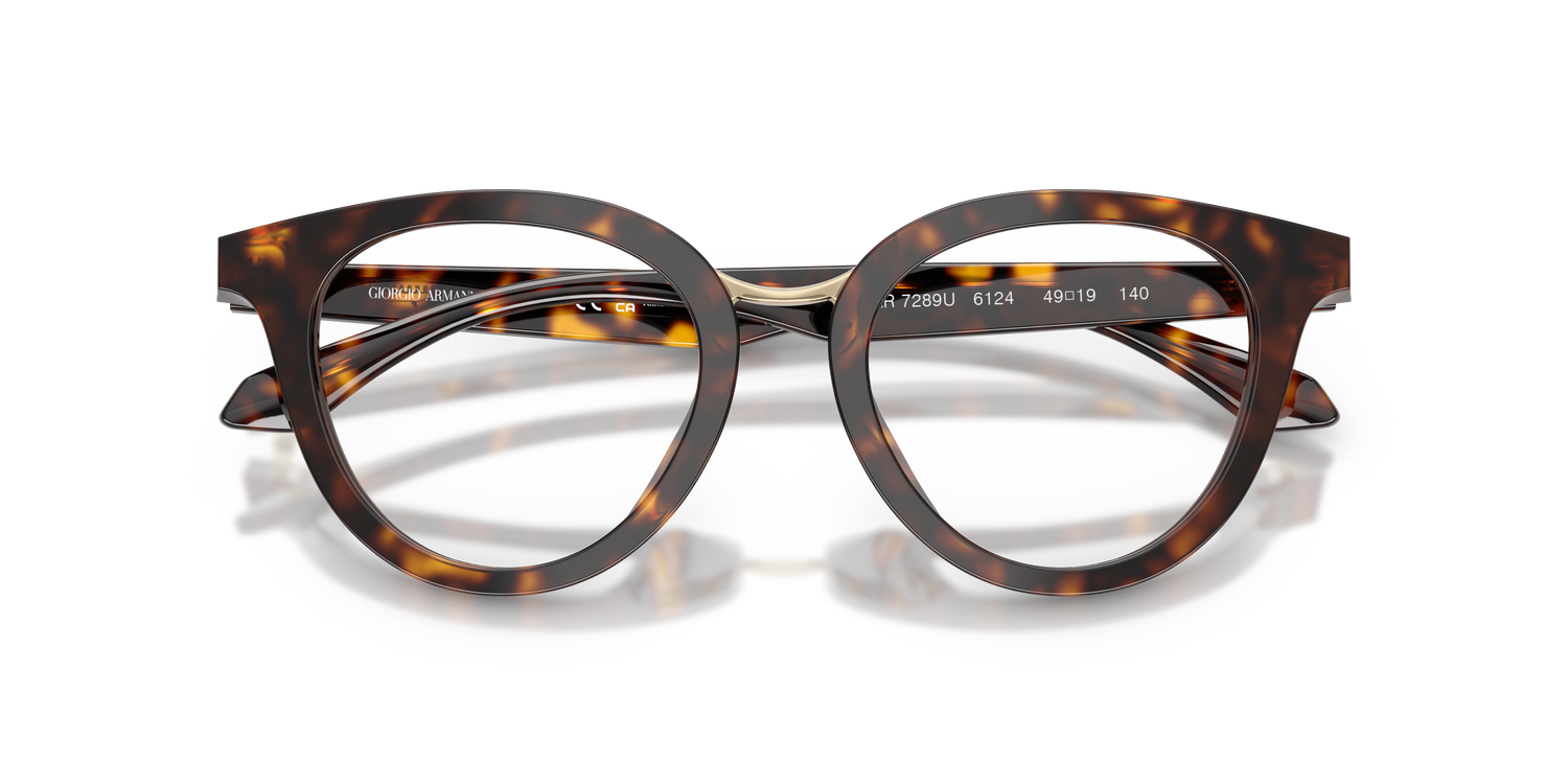 GIORGIO ARMANI AR7289U 6124 49