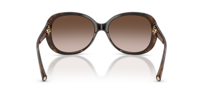 GIORGIO ARMANI AR8047 504913 56