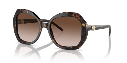 GIORGIO ARMANI AR8180 502613 54