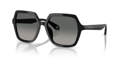 GIORGIO ARMANI AR8193U 500119 55