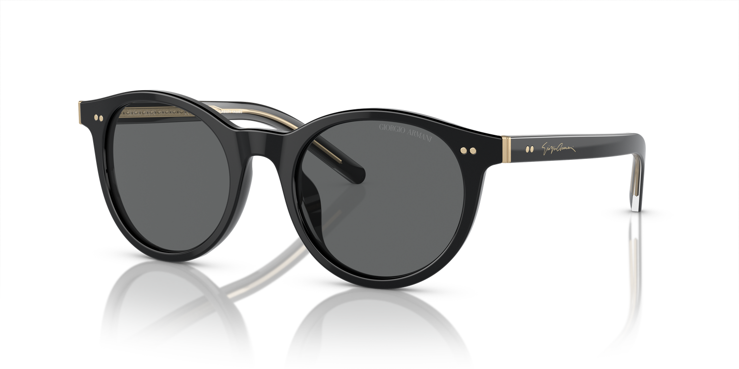 GIORGIO ARMANI AR8199U 587587 50