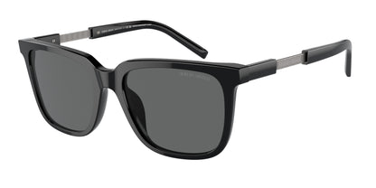 GIORGIO ARMANI AR8202U 587587 55