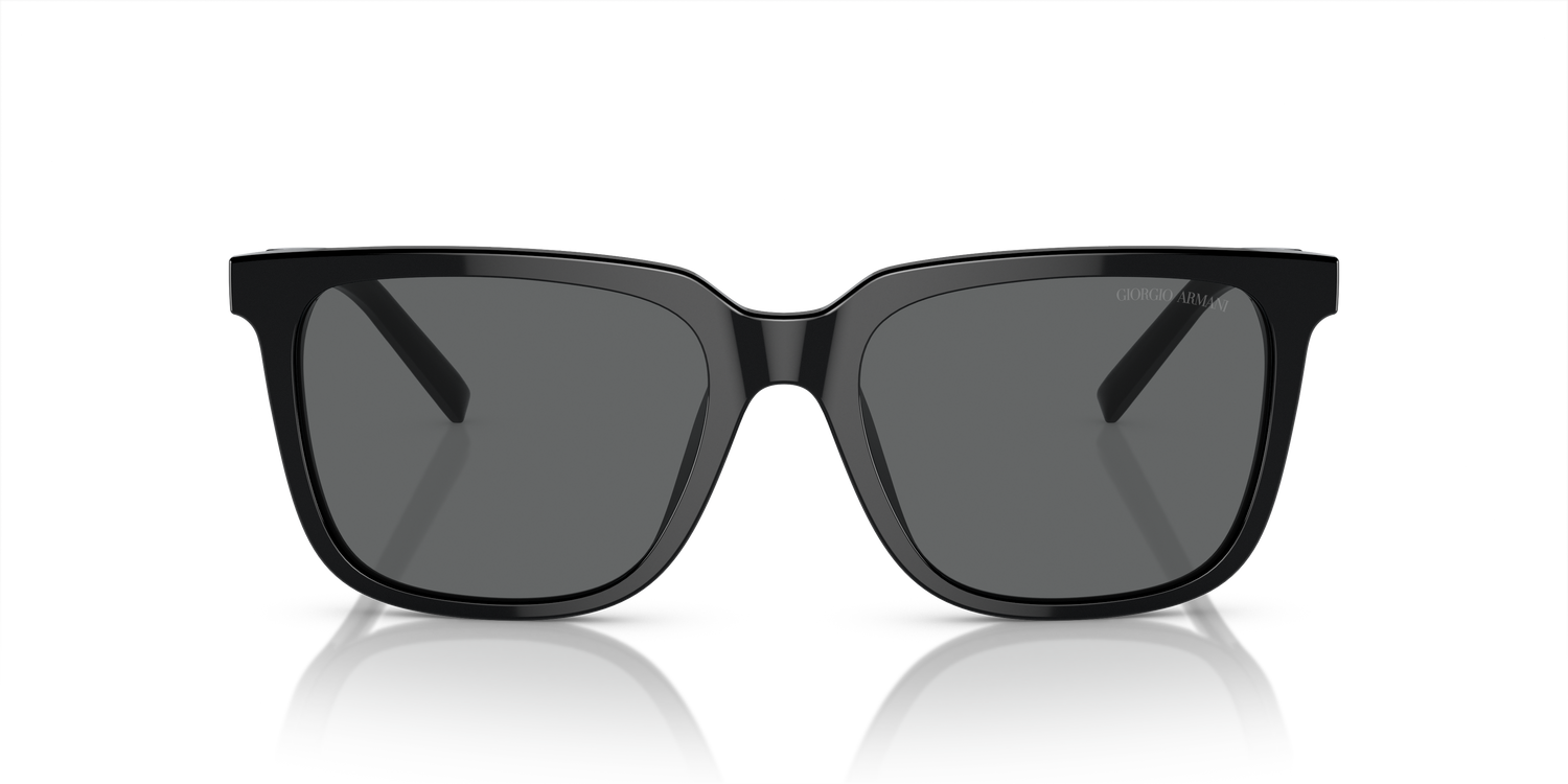 GIORGIO ARMANI AR8202U 587587 55